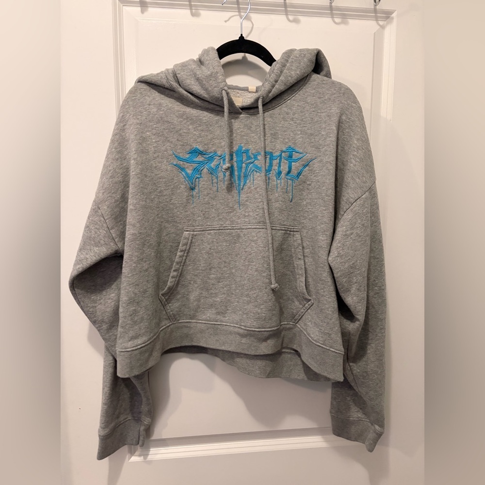 TNA Aritzia Gray Hoodie with Blue Script Logo - Large
